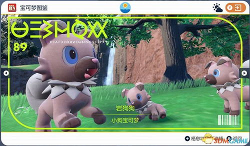 《宝可梦Pokopia》IGN9分：令人愉悦个性十足！