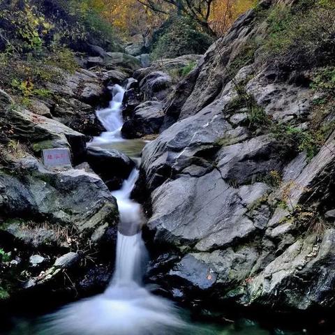《宝可梦：火红 绿叶》  同时按下四个键会使游戏重启