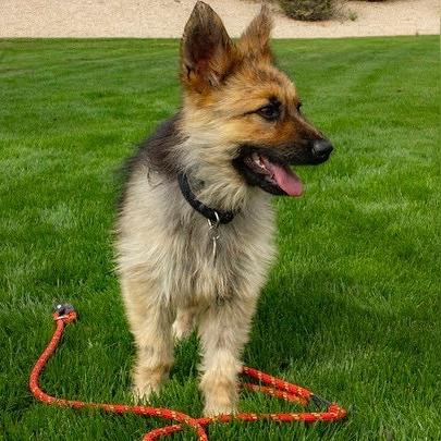 DNF成长胶囊机制大改?2026年Q1数据揭示隐藏效率法则 DNF成长胶囊机制大改?2026年Q1数据揭示隐藏效率法则