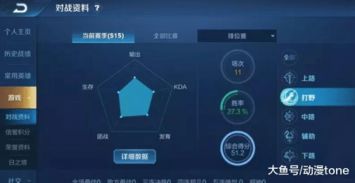 西鲁天会绝密机制破解,2026最新阵容搭配与避坑指南 西鲁天会绝密机制破解,2026最新阵容搭配与避坑指南