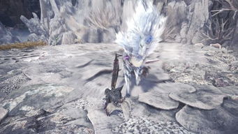 怪物猎人本质是什么类型？2026春共斗机制底层逻辑与实战配装破局指南