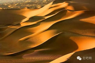 红色沙漠让数毛社惊叹，上代显卡竟能在 4K/60 帧稳定畅玩！