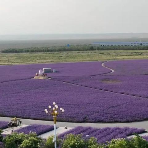 剑灵大漠进化石怎么获得?2026最新搬砖攻略+隐藏途径全解析 剑灵大漠进化石怎么获得?2026最新搬砖攻略+隐藏途径全解析