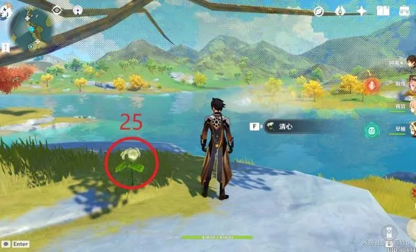 甘雨魈突破必备,清心在哪里采集?璃月山顶7大黄金点位实测 甘雨魈突破必备,清心在哪里采集?璃月山顶7大黄金点位实测