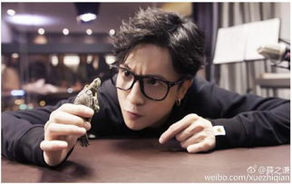 薛之谦被曝涉嫌重婚罪引热议！娱乐圈大瓜后续，他的回应来了