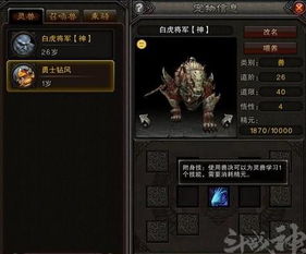 2026斗战神灵兽排行榜，高玩都在用的隐藏搭配技巧