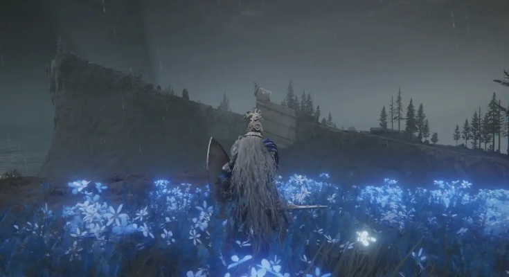 幽影树机制，别再傻刷等级了