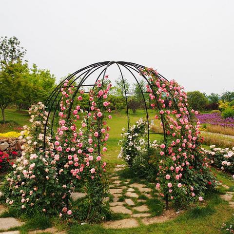 今日上线!完美国际二十周年首篇章花朝有约邀你共赴! 今日上线!完美国际二十周年首篇章花朝有约邀你共赴!