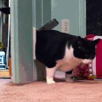 3月20日上线!超火爆红色沙漠愿望单突破300万,别错过! 3月20日上线!超火爆红色沙漠愿望单突破300万,别错过!