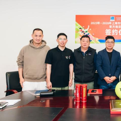 王者天龙类型全解析，2026年皮肤手感梯队排名与隐藏机制揭秘