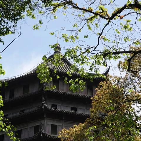 春日福利!自由篮球免费创人气角色,多款宝珠服饰焕新上线 春日福利!自由篮球免费创人气角色,多款宝珠服饰焕新上线