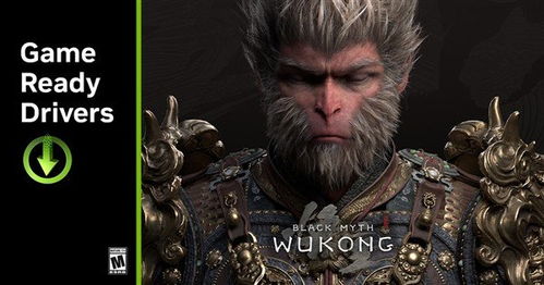 黑神话悟空金池长老BOSS机制彻底拆解，2026年最新3阶段无伤打法与逃课指南