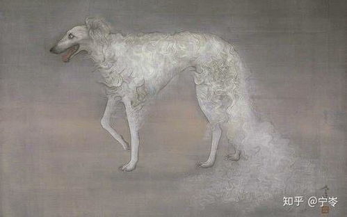 确认！科乐美恶魔城新作告别肉鸽，回归纯正探索玩法