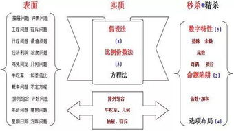 回力标飞不回来?2026年翼型角度与投掷手法的隐藏关联揭秘 回力标飞不回来?2026年翼型角度与投掷手法的隐藏关联揭秘