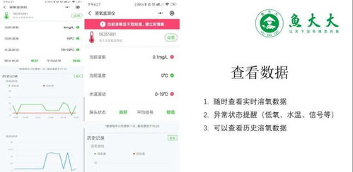丝界类型选错=白玩300小时？2026年新手必看的精准匹配指南