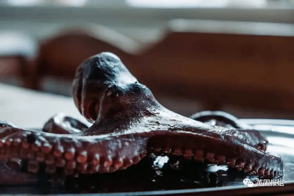 车主崩溃！八爪鱼钻进车内失踪3天，找到时气味熏得师傅差点呕吐