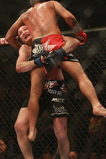 Rumble Roses下载总失败？2026年搏击玫瑰PC完美模拟终极指南