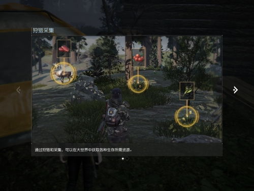 死亡岛终极生存手册,2026年新版武器刷取+联机修复全方案 死亡岛终极生存手册,2026年新版武器刷取+联机修复全方案