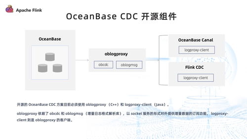 Mason Moore角色全解析，2026绝密数据化养成攻略