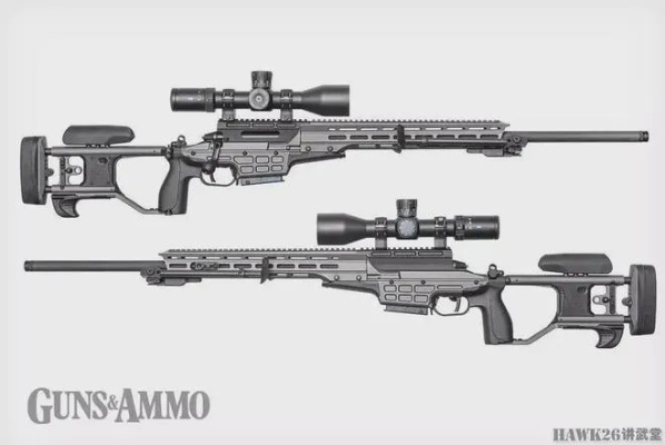 TRG-21狙击步枪深度解析,从芬兰雪原到战术巅峰的精准进化论 TRG-21狙击步枪深度解析,从芬兰雪原到战术巅峰的精准进化论