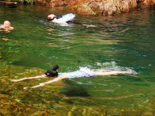 2026年考古学奖励深度拆解,从化石龙到安其拉幼崽的隐藏获取逻辑 2026年考古学奖励深度拆解,从化石龙到安其拉幼崽的隐藏获取逻辑