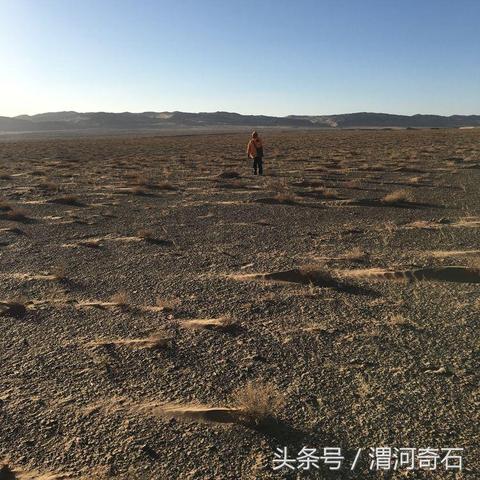 一、大漠寻石机制的本质，伪随机动态池