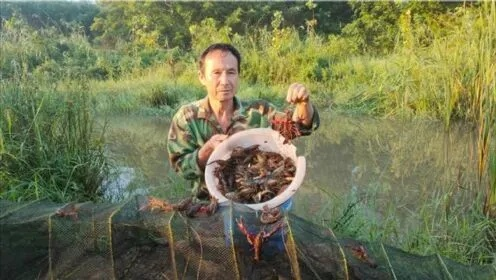 60岁大爷大妈加入养龙虾热潮，官方预警，易致网络攻击与信息泄露