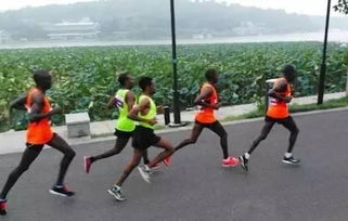 马拉松被大量差评围攻,玩法太难太硬核成玩家吐槽焦点 马拉松被大量差评围攻,玩法太难太硬核成玩家吐槽焦点