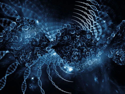 一、时空错位的永恒对决，WE与TPA的战术基因溯源