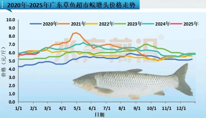 巨滑舌鱼钓不到?2026年Q1全平台刷新机制与暴利路线深度破解 巨滑舌鱼钓不到?2026年Q1全平台刷新机制与暴利路线深度破解