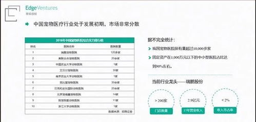 2026年WZ111价格大揭秘，8级重坦性价比之王还是智商税？