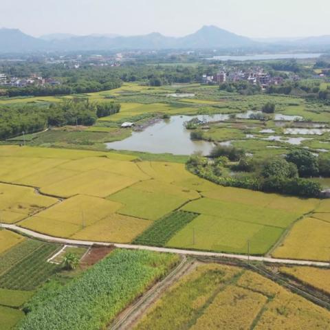 腾讯版小龙虾重磅登场!无需部署,下载即可畅玩 腾讯版小龙虾重磅登场!无需部署,下载即可畅玩