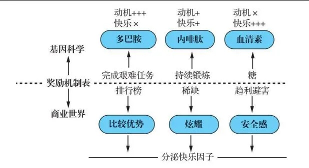 一、邪恶净化类型的底层逻辑重构 一、邪恶净化类型的底层逻辑重构