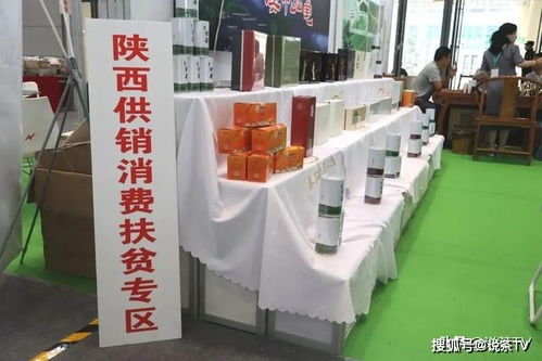 茶百道联动星穹铁道，从门店筛选到周边保值，玩家必看的7个实战门道