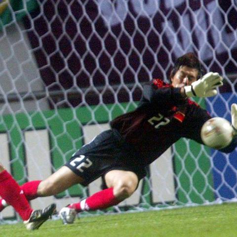 宠物风暴总翻车？2026终极阵容+天气机制全解析