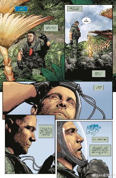 33号远征队同名漫画改名停售引争议,官方态度转变将重新创作 33号远征队同名漫画改名停售引争议,官方态度转变将重新创作