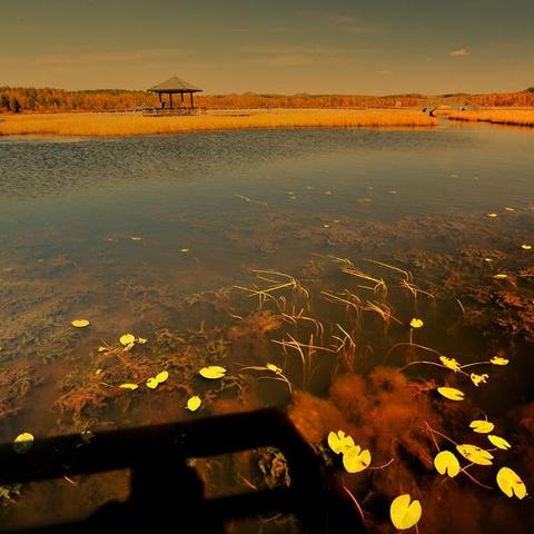 红色沙漠揭秘，76个Boss盘踞110平方公里地图，数据统计全知晓