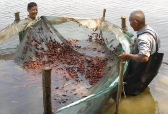 OpenClaw失控致万元重投,零基础养龙虾成本究竟几何? OpenClaw失控致万元重投,零基础养龙虾成本究竟几何?