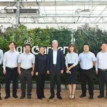 红色沙漠新实机曝光！竟能在游戏里体验养猪种地乐趣