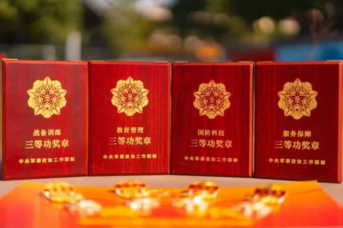 2026金奖章类型红黑榜，这5类已成版本陷阱，第3种白送别错过