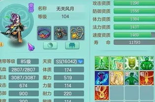 神武宠物大全2026终极指南，从资质打书到实战配队的全场景解决方案