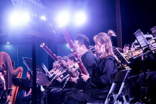 一、音乐会类型全景扫描,不止交响那么简单 一、音乐会类型全景扫描,不止交响那么简单