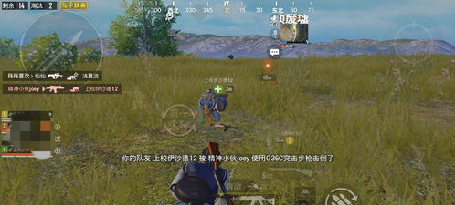 博主炮轰光追，游戏中最没用的功能？