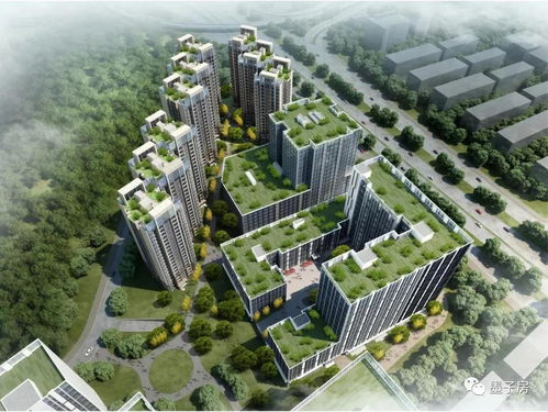 小月月真相解密,2026年最新网络谣言识别实战指南 小月月真相解密,2026年最新网络谣言识别实战指南