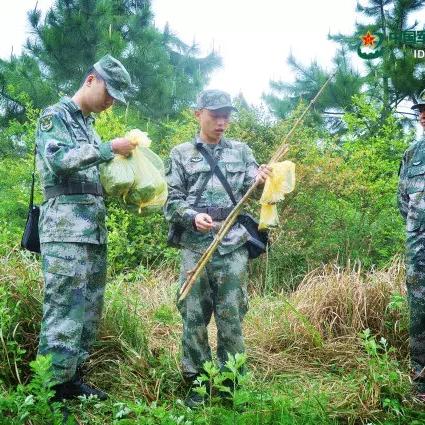 一、秘籍的三种生存形态，你输入的不仅是代码