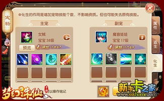 梦幻诛仙宠物系统终极解析，高玩私藏的炼妖打书全链路攻略