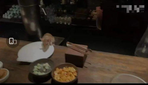 肉贩被老顾客刀尖误伤？回应称玩笑