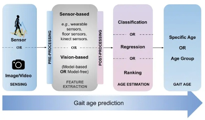一、自动走路的三大技术架构与2026年检测机制 一、自动走路的三大技术架构与2026年检测机制