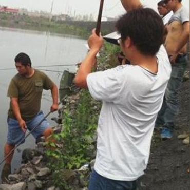 问道鬼宠诱饵类型实测，2026年最新高成功率配方与选择策略全解析