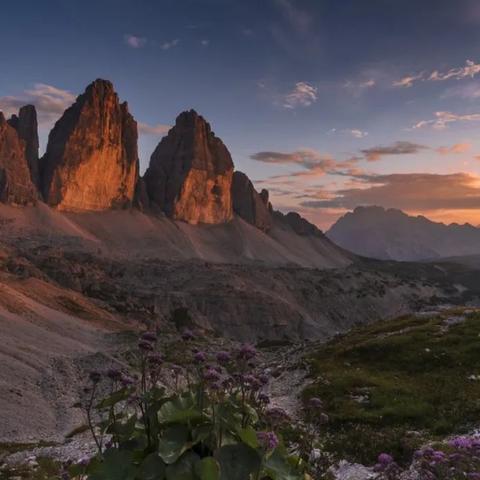 斗破苍穹OL什么职业厉害？2026最新强度排行+平民氪金双路线攻略